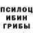 Галлюциногенные грибы Cubensis Nur Sabi