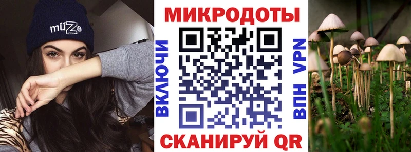 где найти наркотики  Добрянка  Псилоцибиновые грибы мицелий 